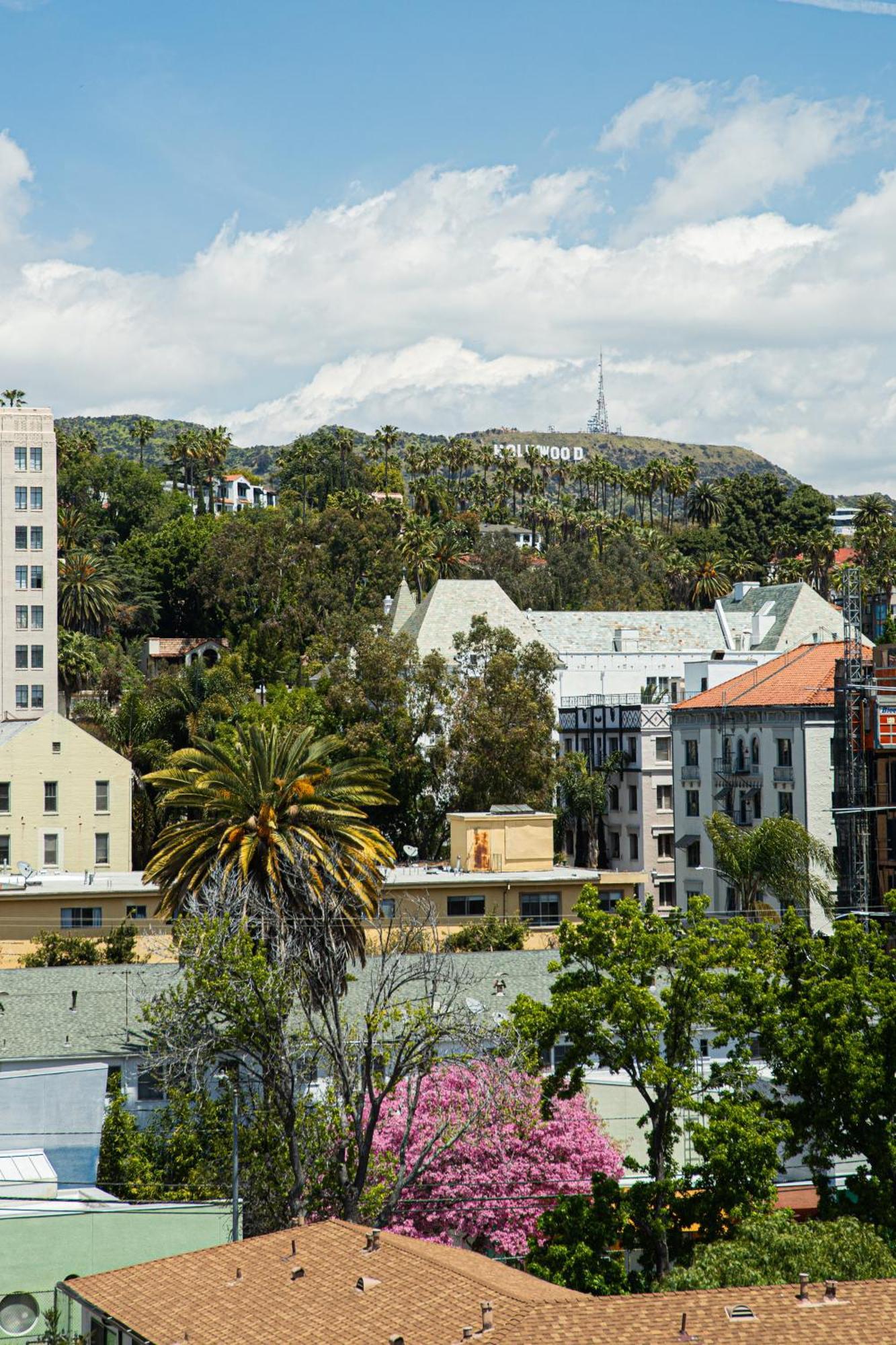 Appartement Luxury With The Hollywood Hills View *